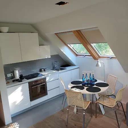 Lejlighed Loft - Dolny By Oneapartments *
